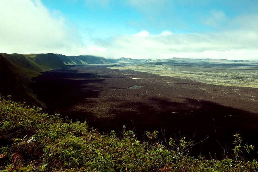 hike tour to Sierra Negra Volcano