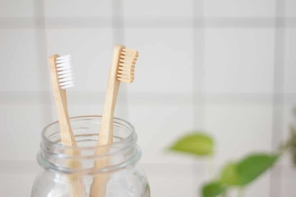 environmentally friendly toothbrushes